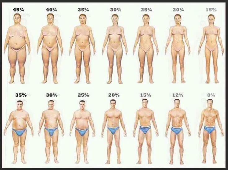 How to Reduce Body Fat Percentage from 25 to 15
